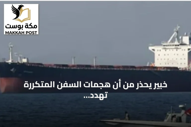 خبير يحذر من أن هجمات السفن المتكررة تهدد الاقتصاد العالمي