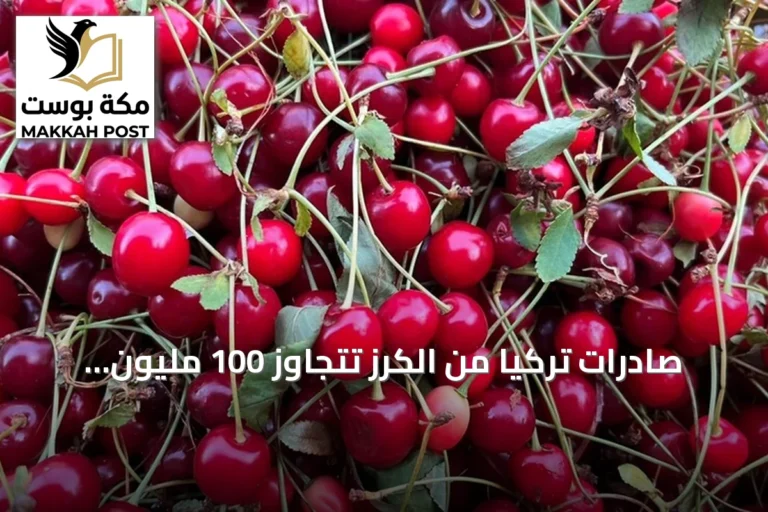 صادرات تركيا من الكرز تتجاوز 100 مليون دولار في ستة أشهر