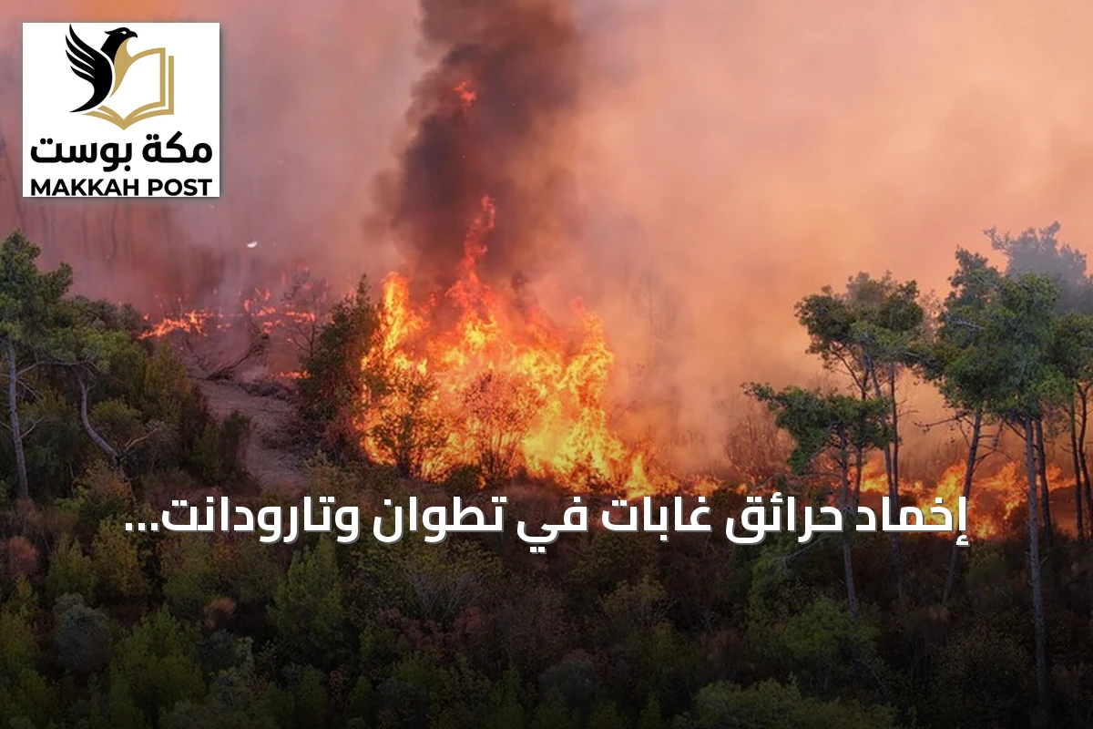 إخماد حرائق غابات في تطوان وتارودانت وتحسّب لموجة حر شديدة