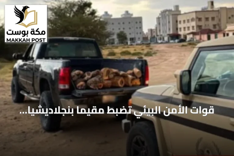 قوات الأمن البيئي تضبط مقيمًا بنجلاديشيًا بنقل حطب محلي في عسير