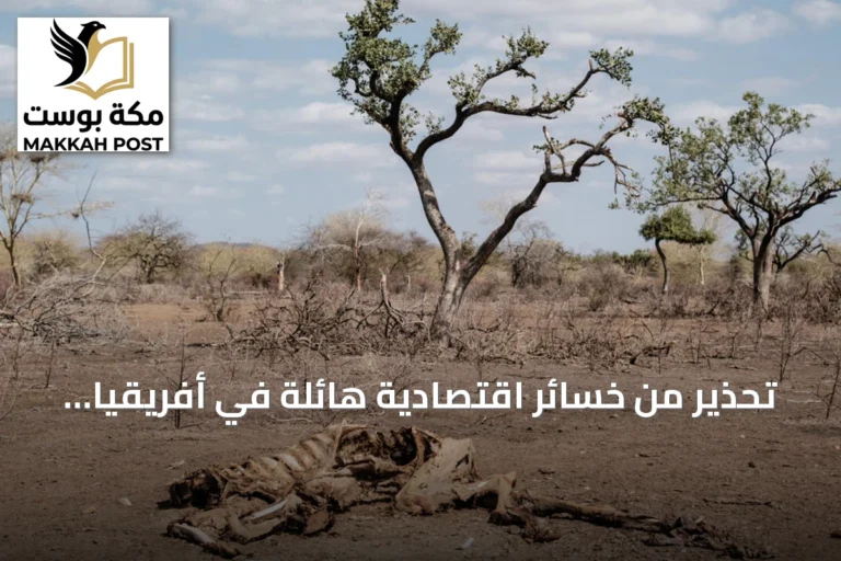 تحذير من خسائر اقتصادية هائلة في أفريقيا بسبب ظاهرة النينيو القوية