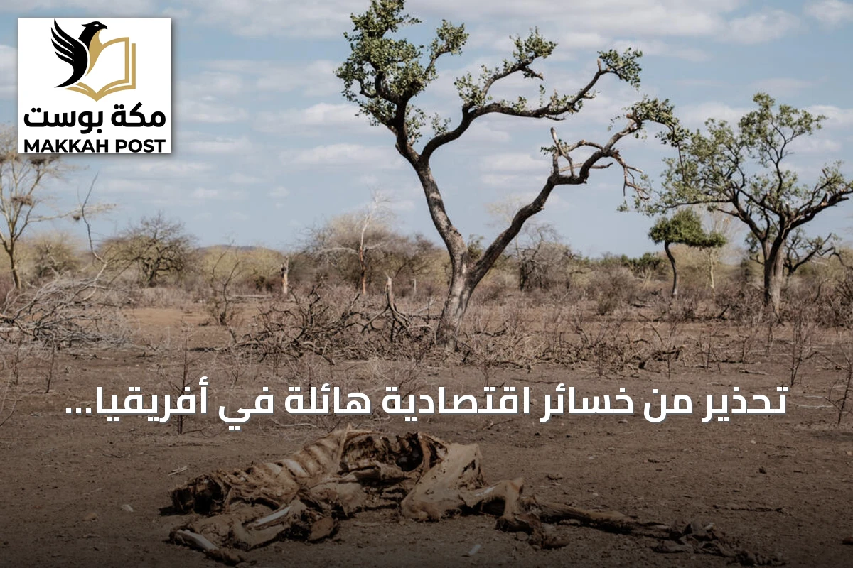 تحذير من خسائر اقتصادية هائلة في أفريقيا بسبب ظاهرة النينيو القوية