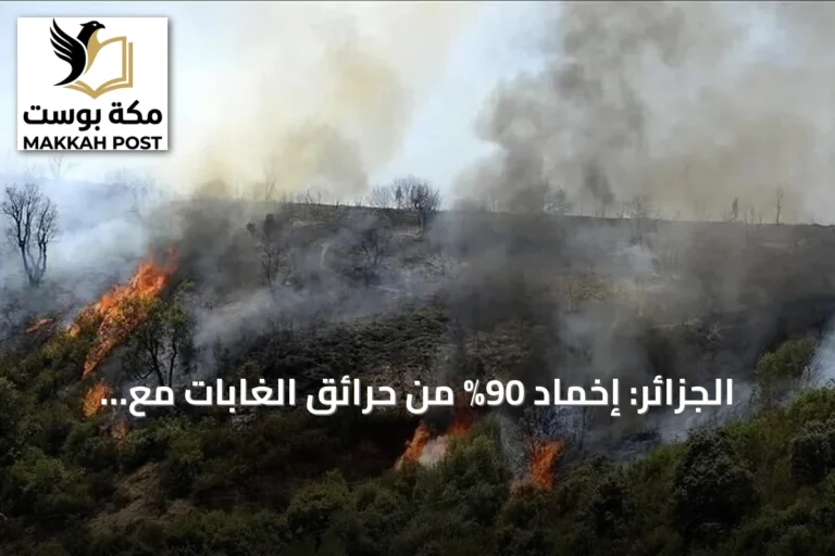 الجزائر: إخماد 90% من حرائق الغابات مع تراجع درجات الحرارة بعد موجة حر شديدة