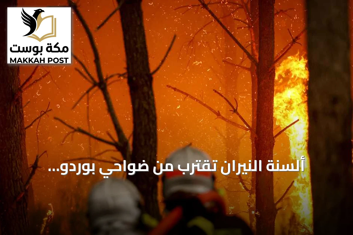 ألسنة النيران تقترب من ضواحي بوردو.. فرنسا وإسبانيا تواجهان كارثة حرائق غير مسبوقة