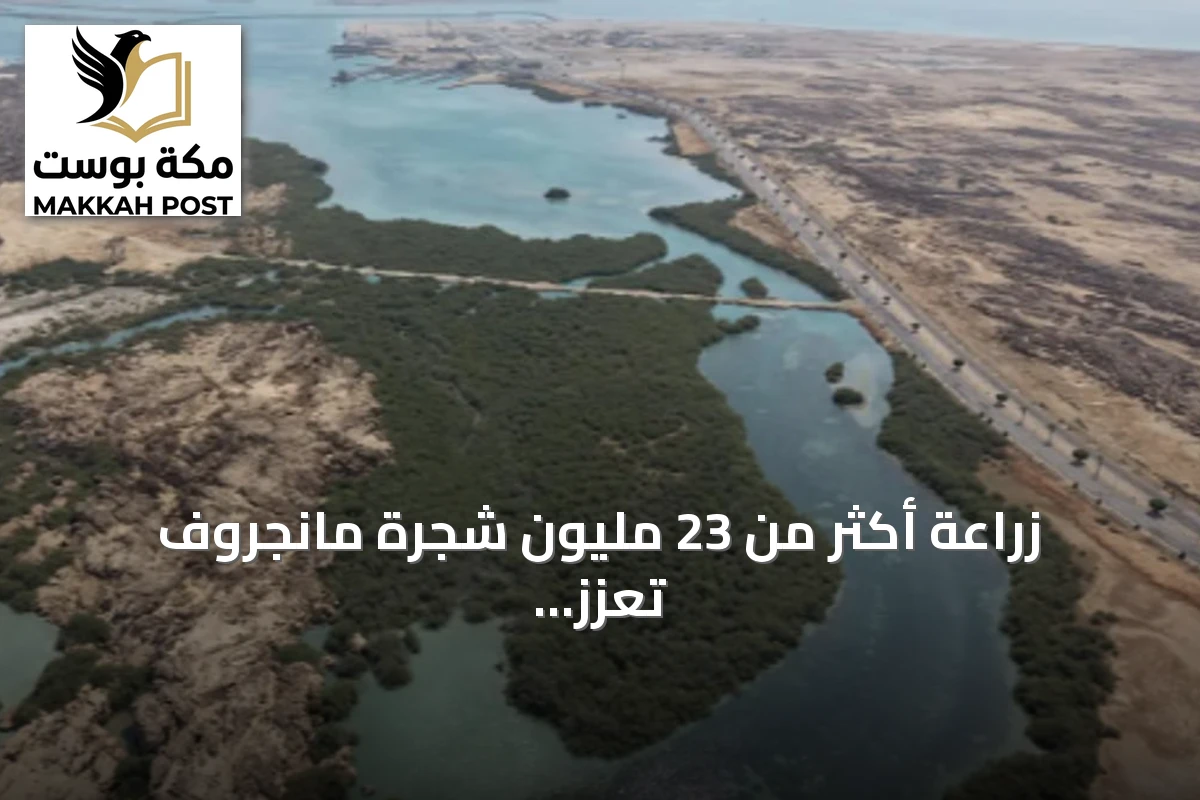 زراعة أكثر من 23 مليون شجرة مانجروف تعزز استدامة السواحل في جازان