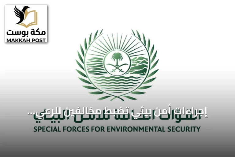 إجراءات أمن بيئي تضبط مخالفين للرعي والتلوث في الملك عبدالعزيز والمدينة المنورة