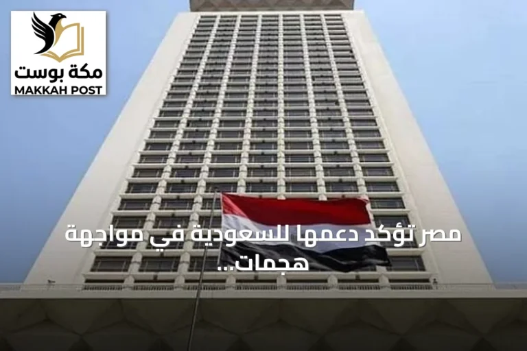مصر تؤكد دعمها للسعودية في مواجهة هجمات الطائرات المسيّرة من العراق