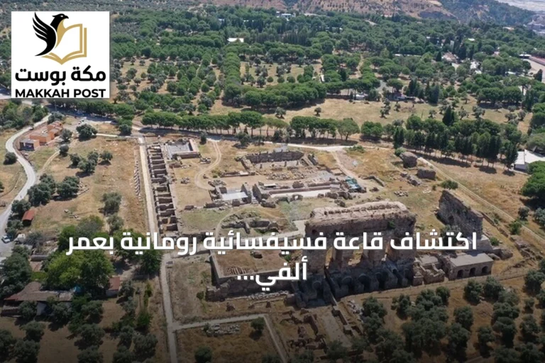 اكتشاف قاعة فسيفسائية رومانية بعمر ألفي عام في تراليس التركية