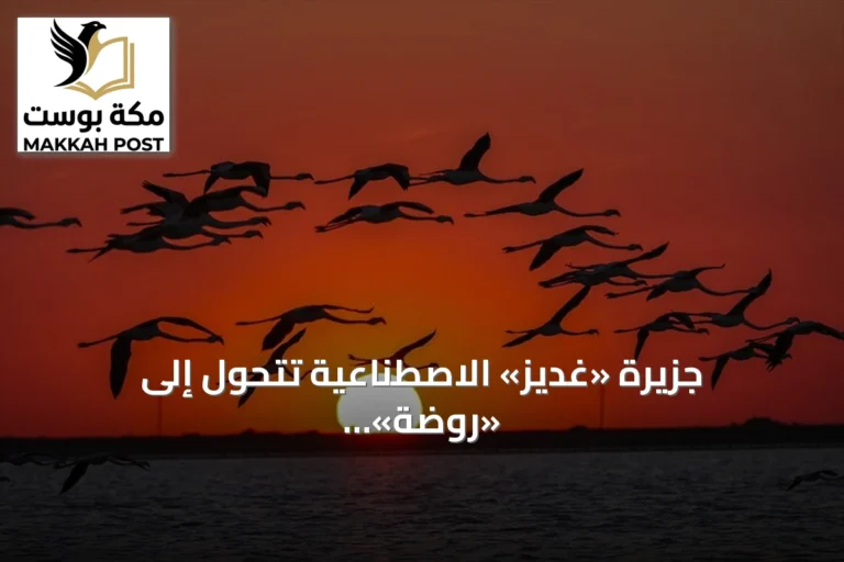 جزيرة «غديز» الاصطناعية تتحول إلى «روضة» لنمو فرخ الفلامنغو بإزمير