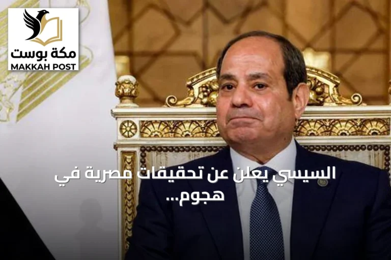 السيسي يعلن عن تحقيقات مصرية في هجوم بمسيرات استهدف سفينتين بميناء دمياط