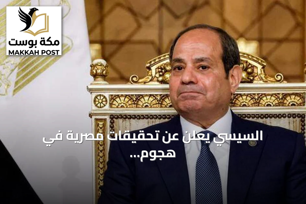 السيسي يعلن عن تحقيقات مصرية في هجوم بمسيرات استهدف سفينتين بميناء دمياط