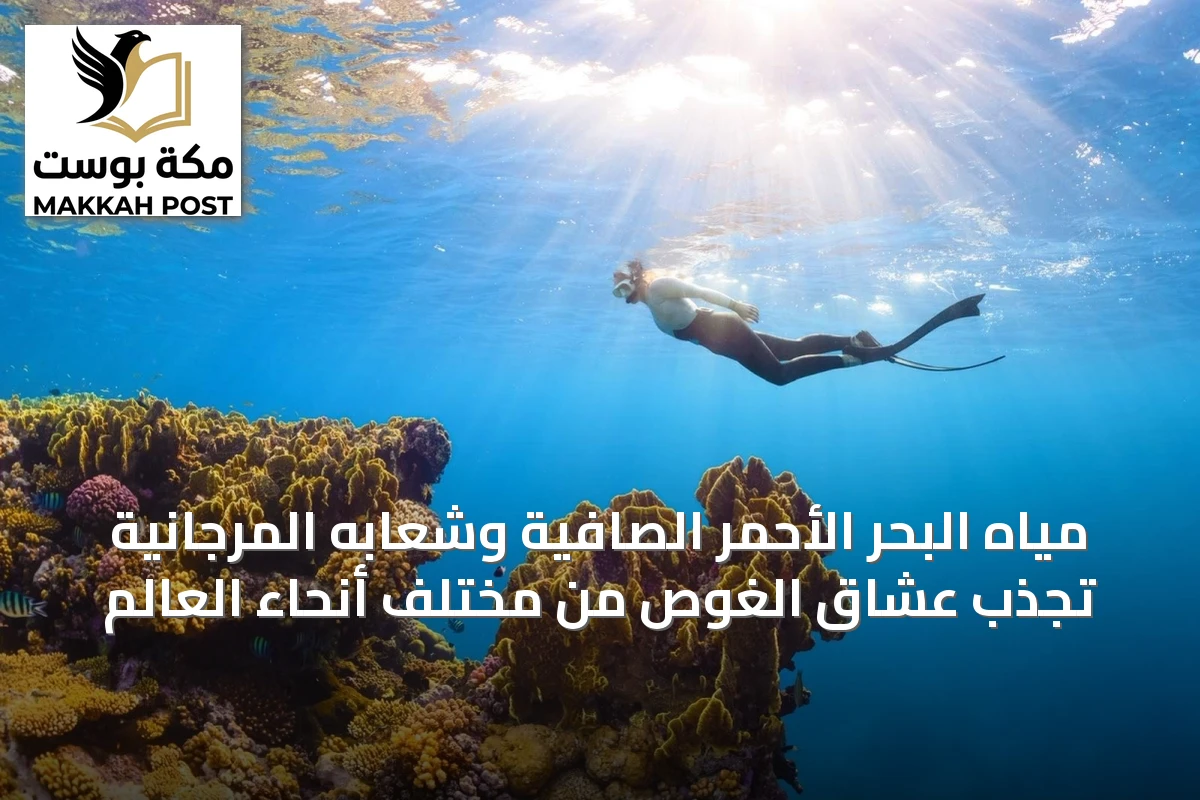 مياه البحر الأحمر الصافية وشعابه المرجانية تجذب عشاق الغوص من مختلف أنحاء العالم