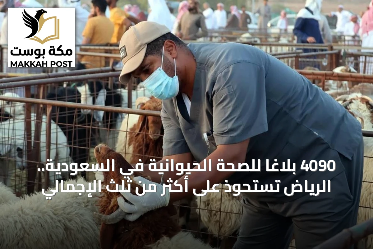 4090 بلاغاً للصحة الحيوانية في السعودية.. الرياض تستحوذ على أكثر من ثلث الإجمالي