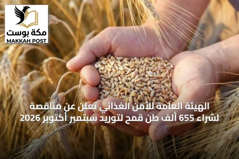 الهيئة العامة للأمن الغذائي تعلن عن مناقصة لشراء 655 ألف طن قمح لتوريد سبتمبر‑أكتوبر 2026