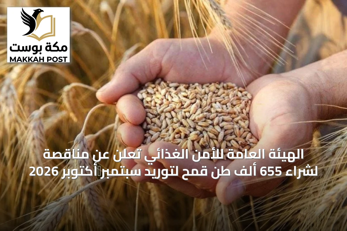الهيئة العامة للأمن الغذائي تعلن عن مناقصة لشراء 655 ألف طن قمح لتوريد سبتمبر‑أكتوبر 2026