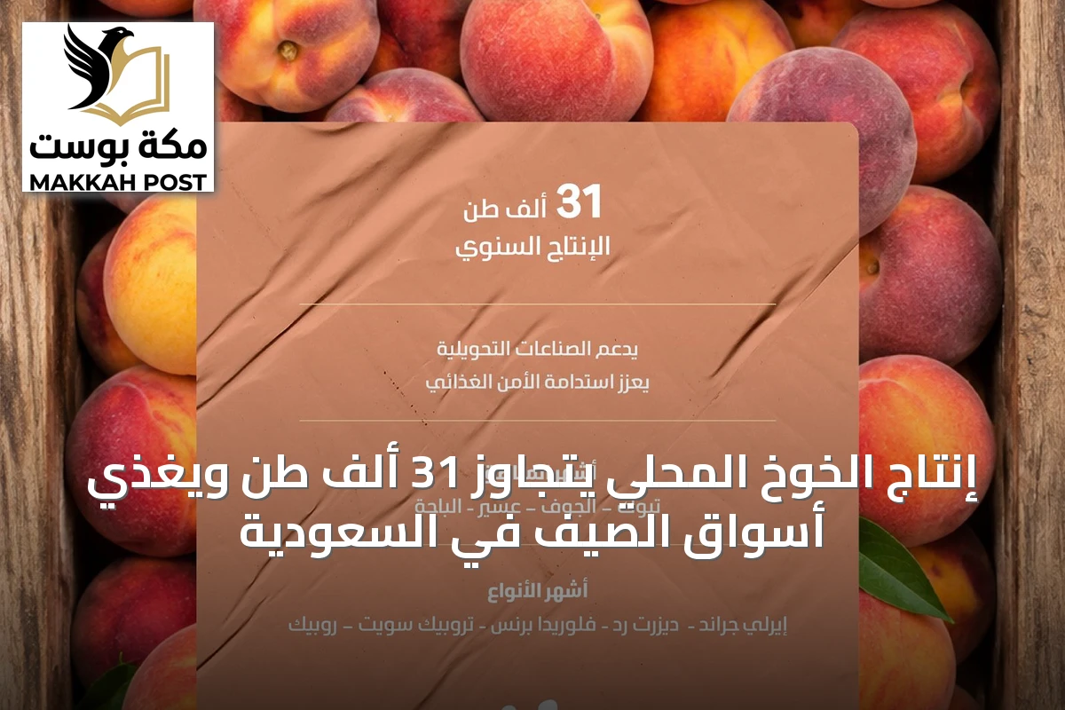 إنتاج الخوخ المحلي يتجاوز 31 ألف طن ويغذي أسواق الصيف في السعودية