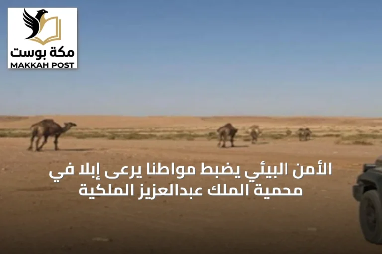 الأمن البيئي يضبط مواطنًا يرعى إبلًا في محمية الملك عبدالعزيز الملكية