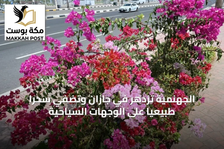 الجهنمية تزدهر في جازان وتُضفي سحرًا طبيعيًا على الوجهات السياحية