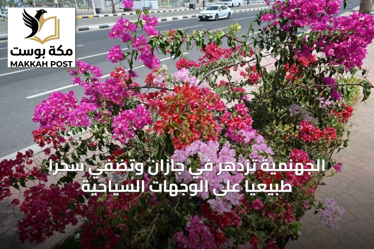 الجهنمية تزدهر في جازان وتُضفي سحرًا طبيعيًا على الوجهات السياحية