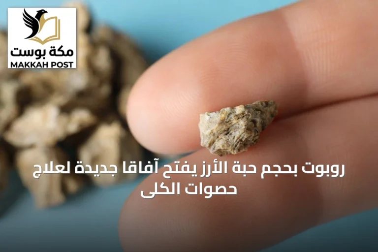 روبوت بحجم حبة الأرز يفتح آفاقاً جديدة لعلاج حصوات الكلى
