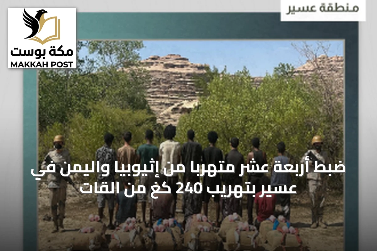 ضبط أربعة عشر متهربًا من إثيوبيا واليمن في عسير بتهريب 240 كغ من القات