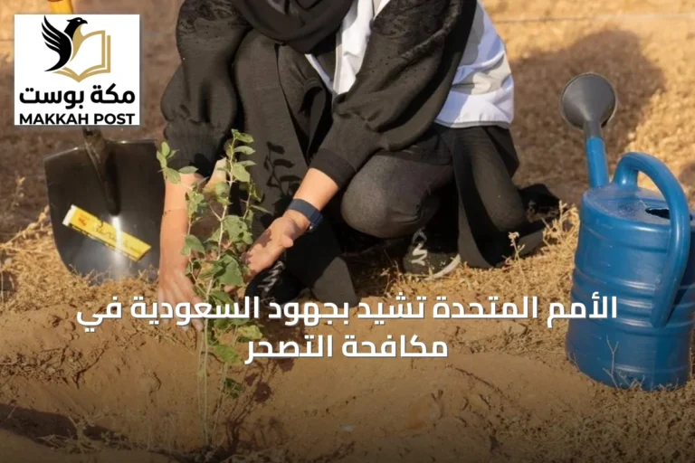 الأمم المتحدة تشيد بجهود السعودية في مكافحة التصحر