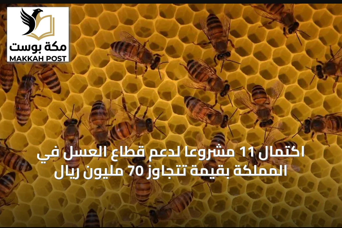 اكتمال 11 مشروعاً لدعم قطاع العسل في المملكة بقيمة تتجاوز 70 مليون ريال