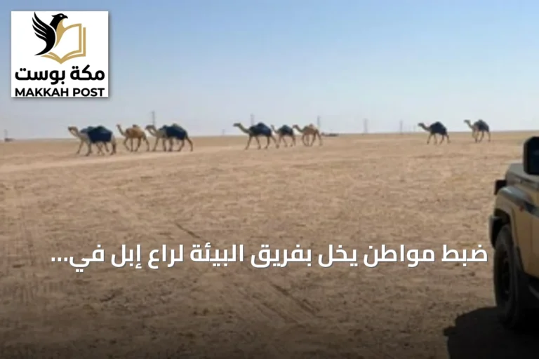 ضبط مواطن يخلّ بفريق البيئة لراعٍ إبل في محمية الملك عبدالعزيز