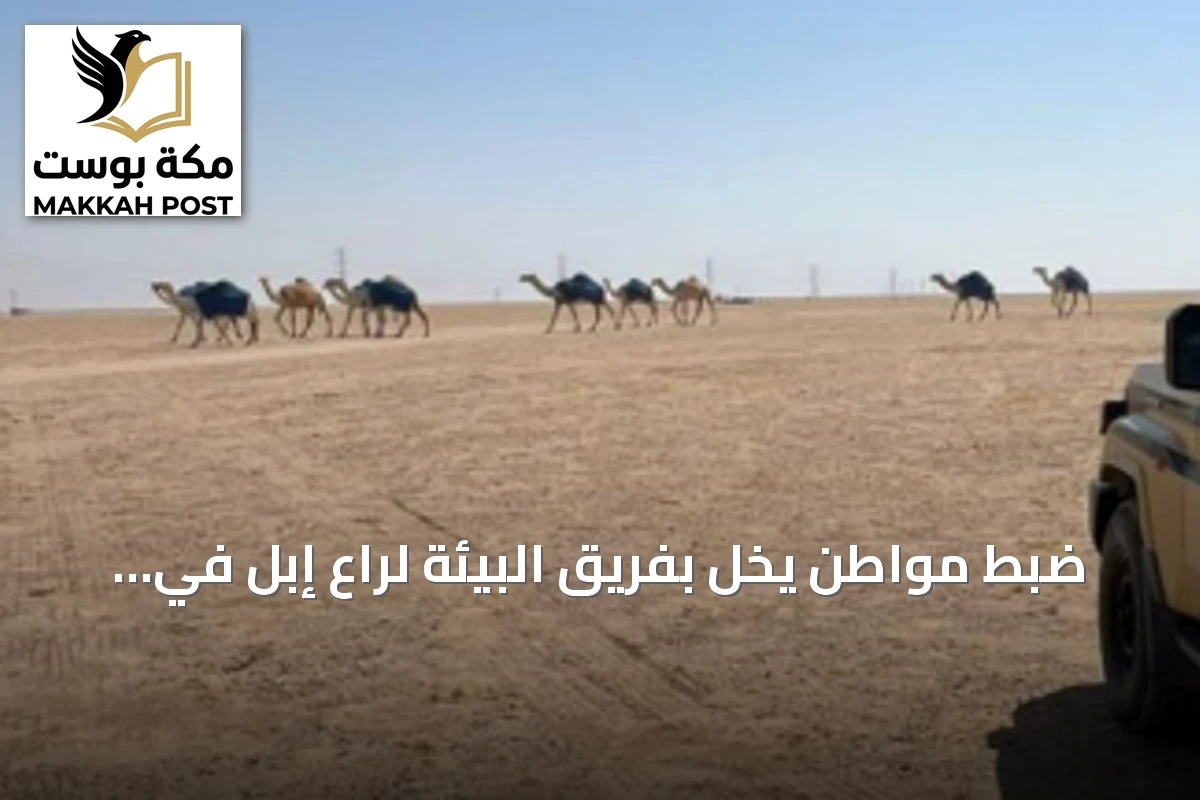 ضبط مواطن يخلّ بفريق البيئة لراعٍ إبل في محمية الملك عبدالعزيز