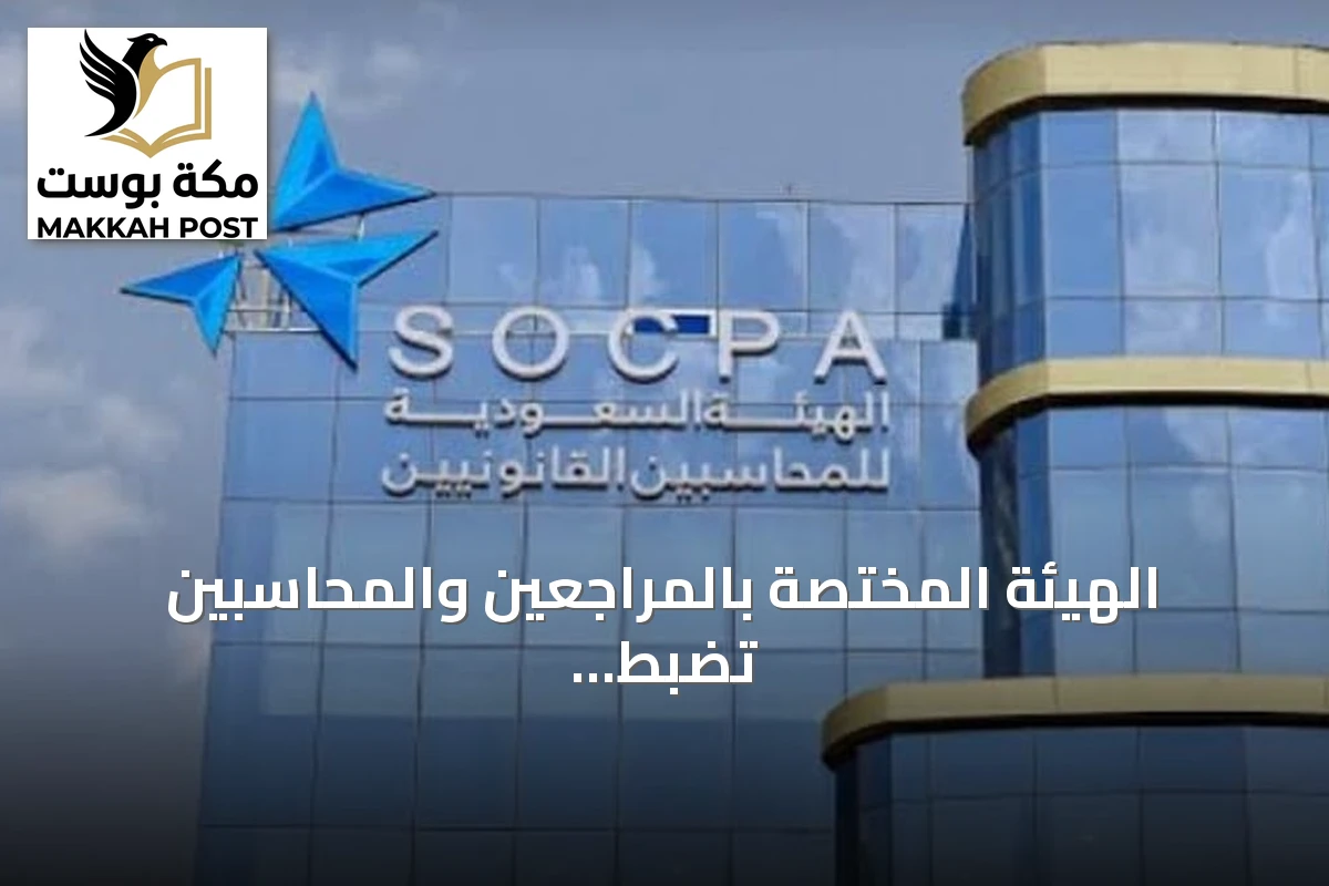 الهيئة المختصة بالمراجعين والمحاسبين تضبط محاسبًا قانونيًا غير مرخصصا