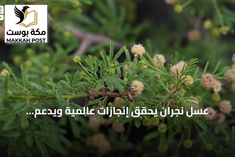 عسل نجران يحقق إنجازات عالمية ويدعم الاقتصاد المحلي
