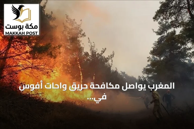 المغرب يواصل مكافحة حريق واحات أفوس في الراشيدية amid ارتفاع درجات الحرارة