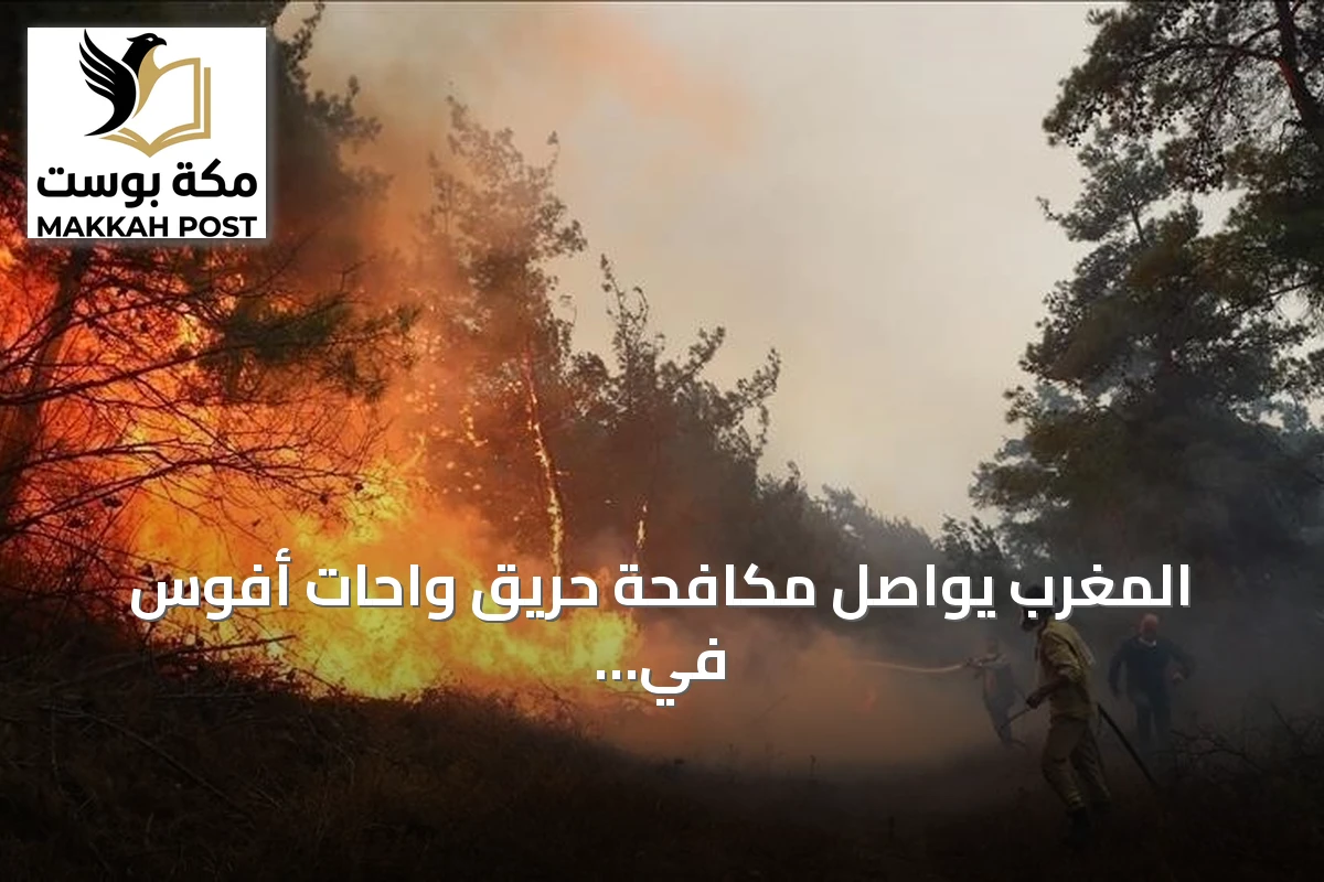 المغرب يواصل مكافحة حريق واحات أفوس في الراشيدية amid ارتفاع درجات الحرارة