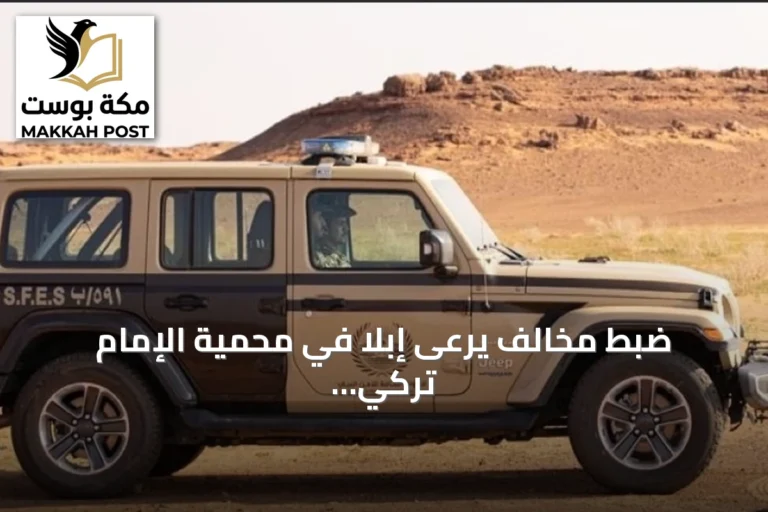 ضبط مخالف يرعى إبلًا في محمية الإمام تركي بن عبدالله الملكية