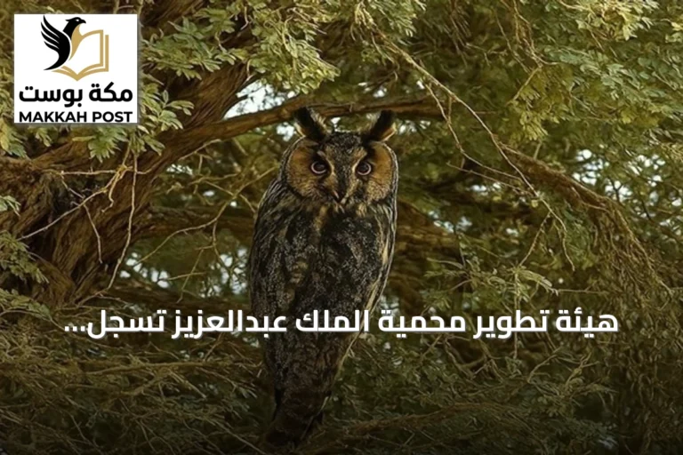 هيئة تطوير محمية الملك عبدالعزيز تسجل تسعة أنواع نادرة من الطيور المهاجرة لأول مرة