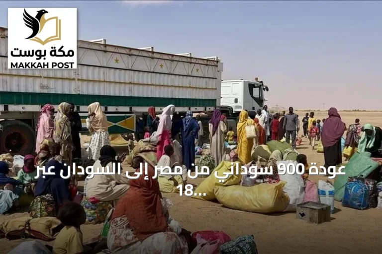 عودة 900 سوداني من مصر إلى السودان عبر 18 حافلة