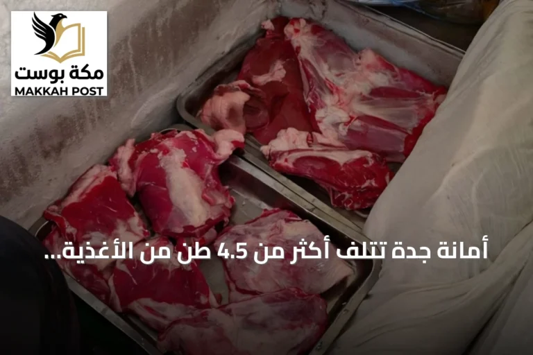 أمانة جدة تُتلف أكثر من 4.5 طن من الأغذية غير الصالحة وتغلق خمسة مواقع عشوائية في الفيصلية