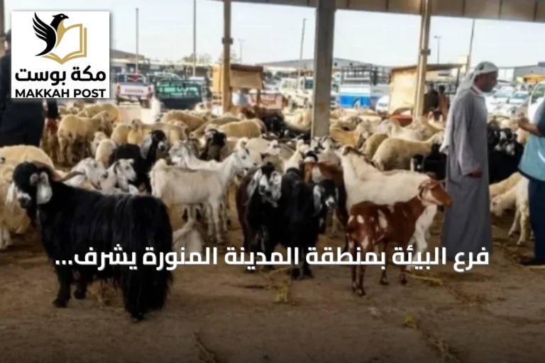 فرع البيئة بمنطقة المدينة المنورة يشرف على حملة رقابية وتوعوية في أسواق الماشية