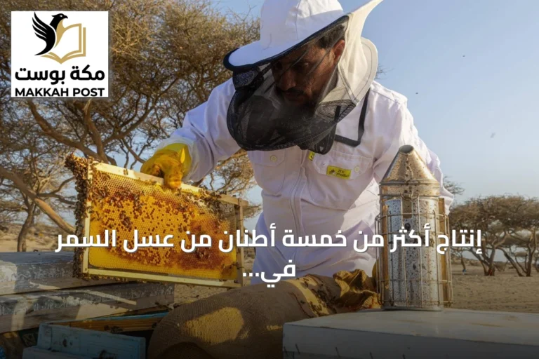 إنتاج أكثر من خمسة أطنان من عسل السمر في أملج مع انطلاق موسم الفرز