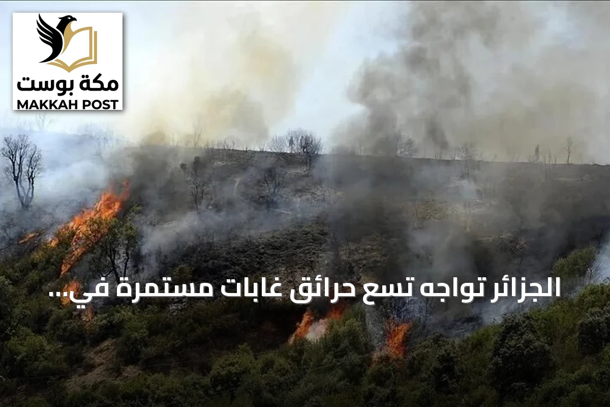 الجزائر تواجه تسع حرائق غابات مستمرة في سبع ولايات