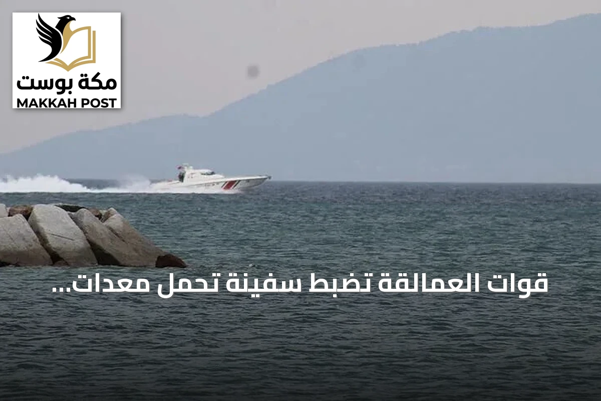 قوات العمالقة تضبط سفينة تحمل معدات عسكرية للحوثيين في باب المندب