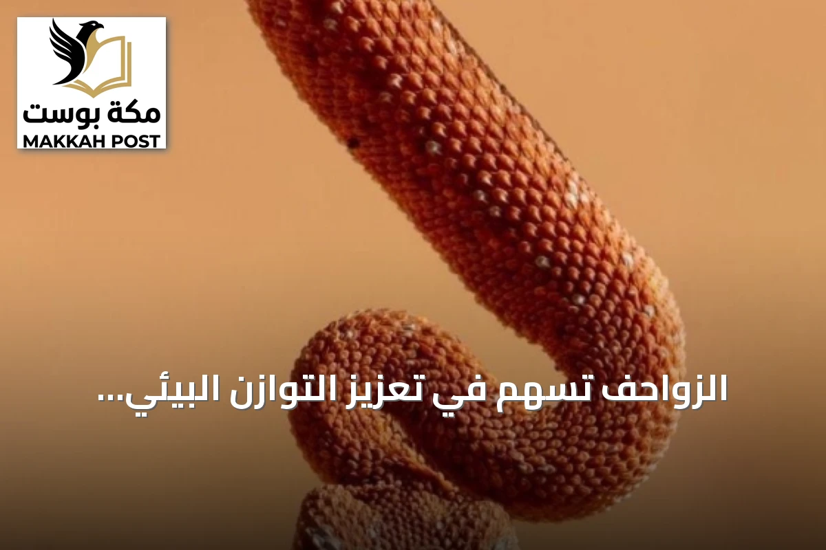 الزواحف تسهم في تعزيز التوازن البيئي بمنطقة الحدود الشمالية