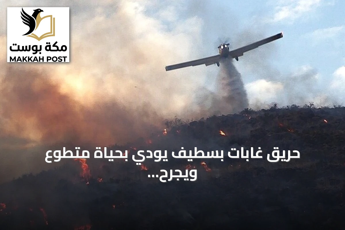 حريق غابات بسطيف يودي بحياة متطوع ويجرح آخر amid firefighting efforts