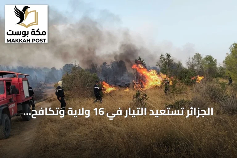 الجزائر تستعيد التيار في 16 ولاية وتكافح 19 حريقا أثناء موجة حر
