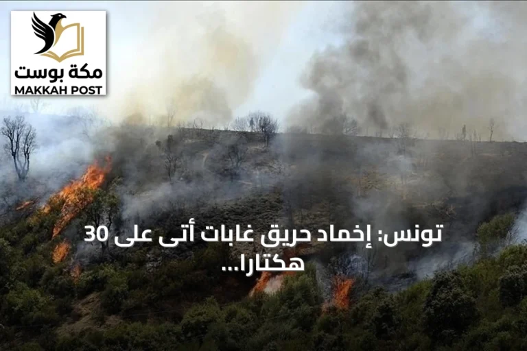 تونس: إخماد حريق غابات أتى على 30 هكتاراً في جندوبة وألحق أضراراً بالمنازل
