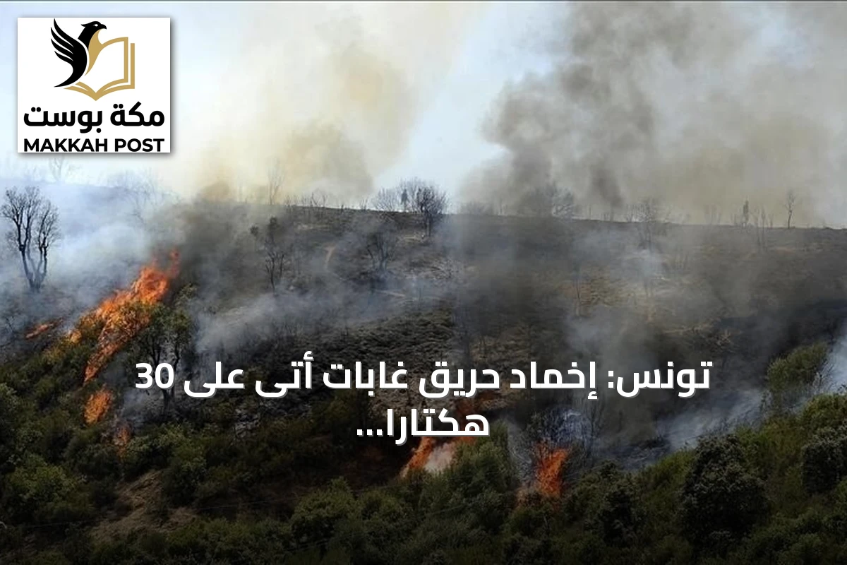 تونس: إخماد حريق غابات أتى على 30 هكتاراً في جندوبة وألحق أضراراً بالمنازل