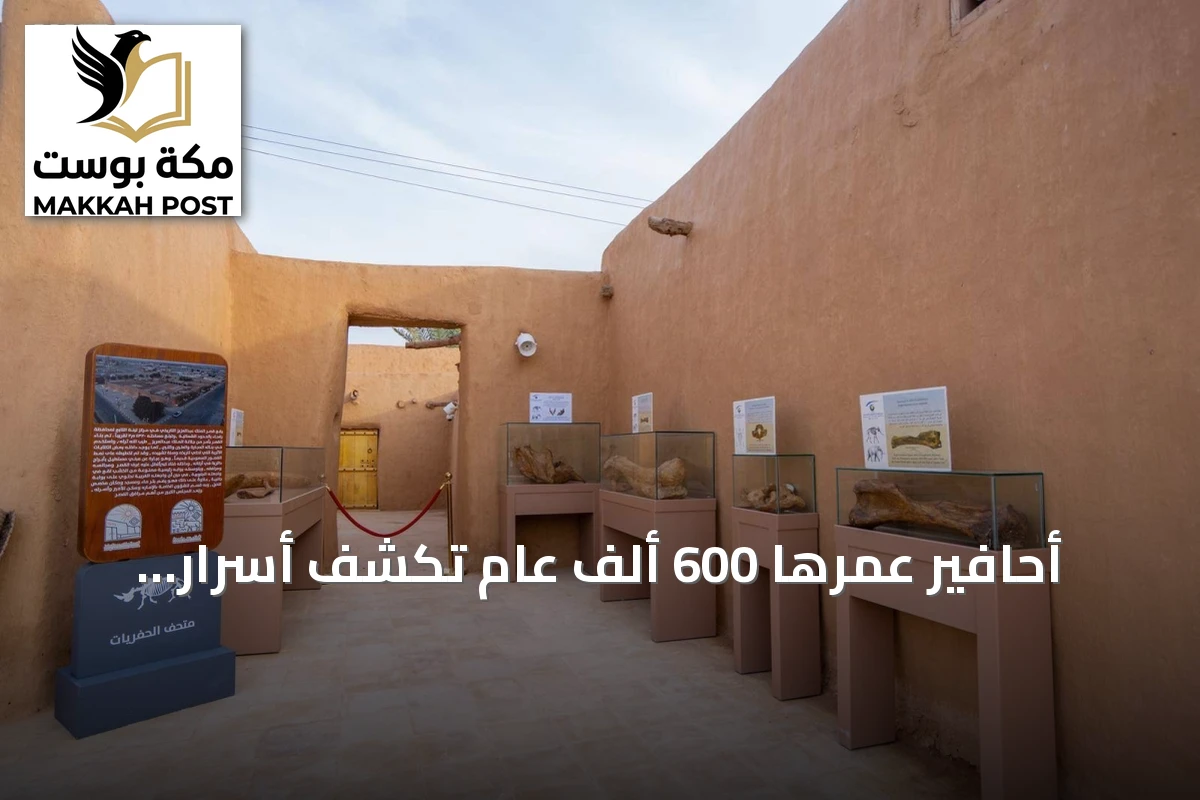 أحافير عمرها 600 ألف عام تكشف أسرار المناخ القديم في شمال غرب السعودية