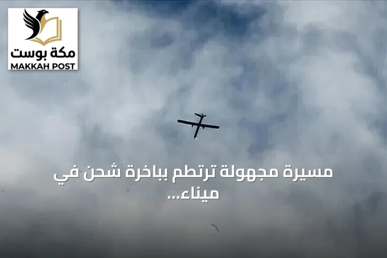 مسيّرة مجهولة ترتطم بباخرة شحن في ميناء البصرة دون وقوع انفجار
