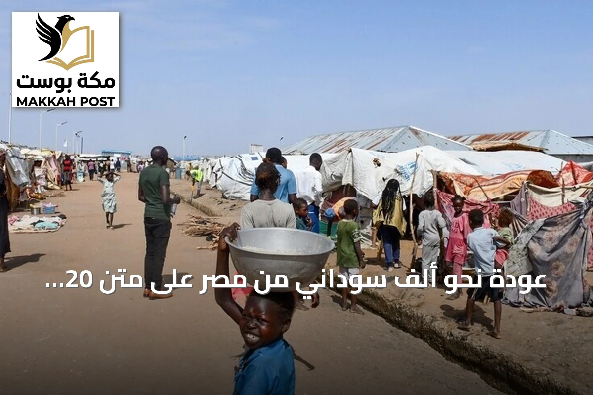 عودة نحو ألف سوداني من مصر على متن 20 حافلة ضمن برنامج طوعي