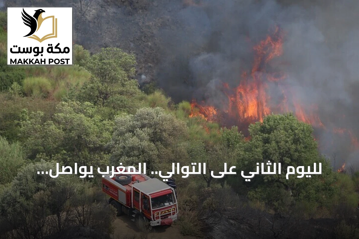 لليوم الثاني على التوالي.. المغرب يواصل إخماد حرائق غابات التهمت 14 هكتاراً في الحوز